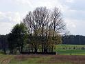 cmentarze02_16