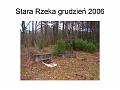 Slide13