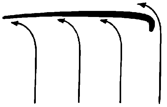 plyw piora