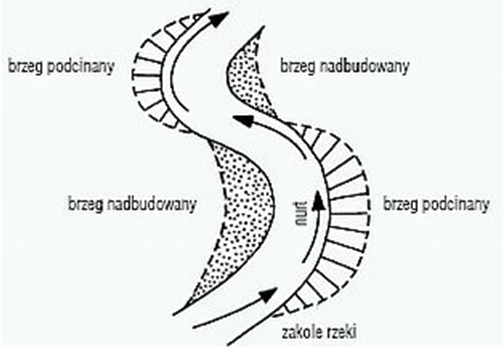 Koryto i linia brzegowa rzeki 